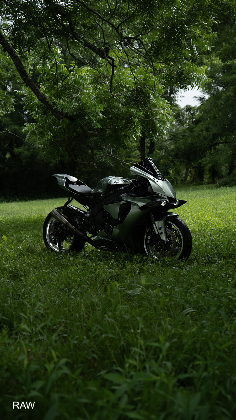 EMERALD NOIR — ORIGINAL