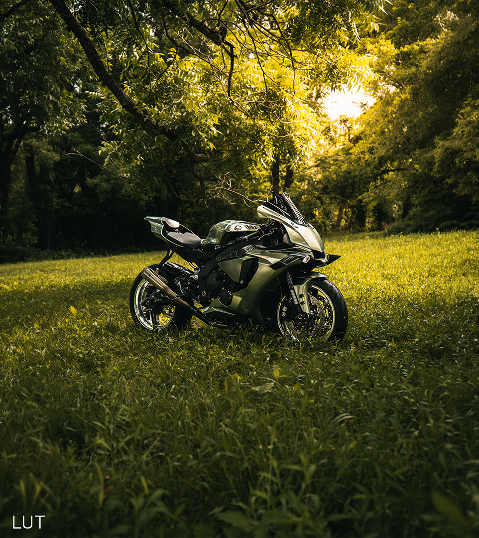 SIGNATURE LUT